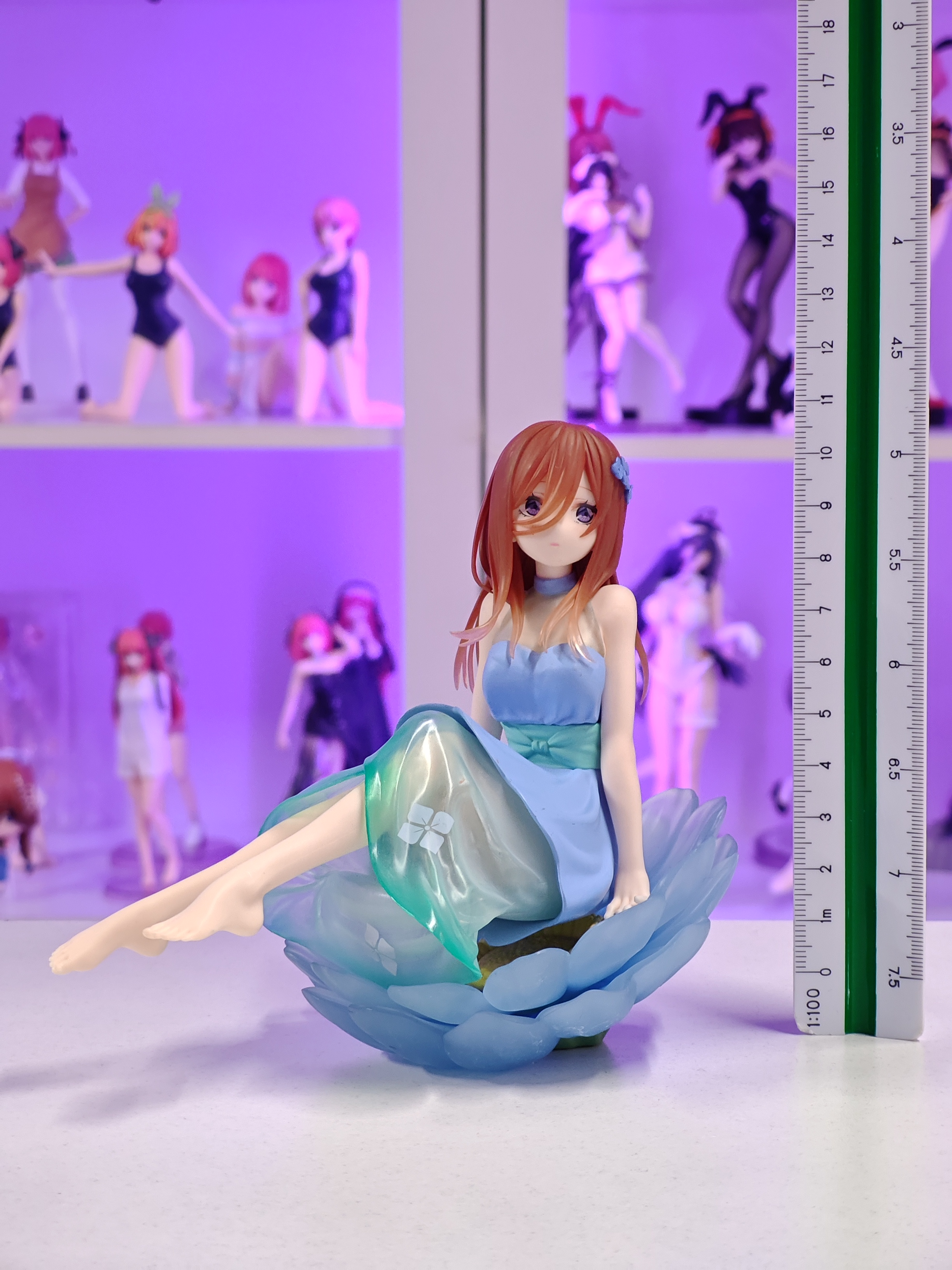 FuRyu - Bloo-me! - Miku Nakano